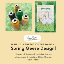 Load image into Gallery viewer, Thread of the Month Club