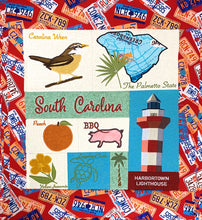 Load image into Gallery viewer, South Carolina '23 - 20" X 20" Pillow or Wall Hanging - USB