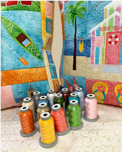 Load image into Gallery viewer, Vacation Time Pillow Machine Embroidery USB