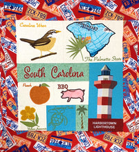 Load image into Gallery viewer, South Carolina &#39;23 - 20&quot; X 20&quot; Pillow or Wall Hanging - CD
